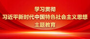 男女肏屌全过程学习贯彻习近平新时代中国特色社会主义思想主题教育_fororder_ad-371X160(2)